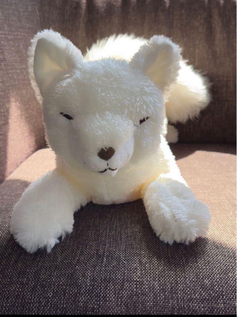❤美品・超レア❤ひざきつね WHぬいぐるみ（M） SUNLEMON
