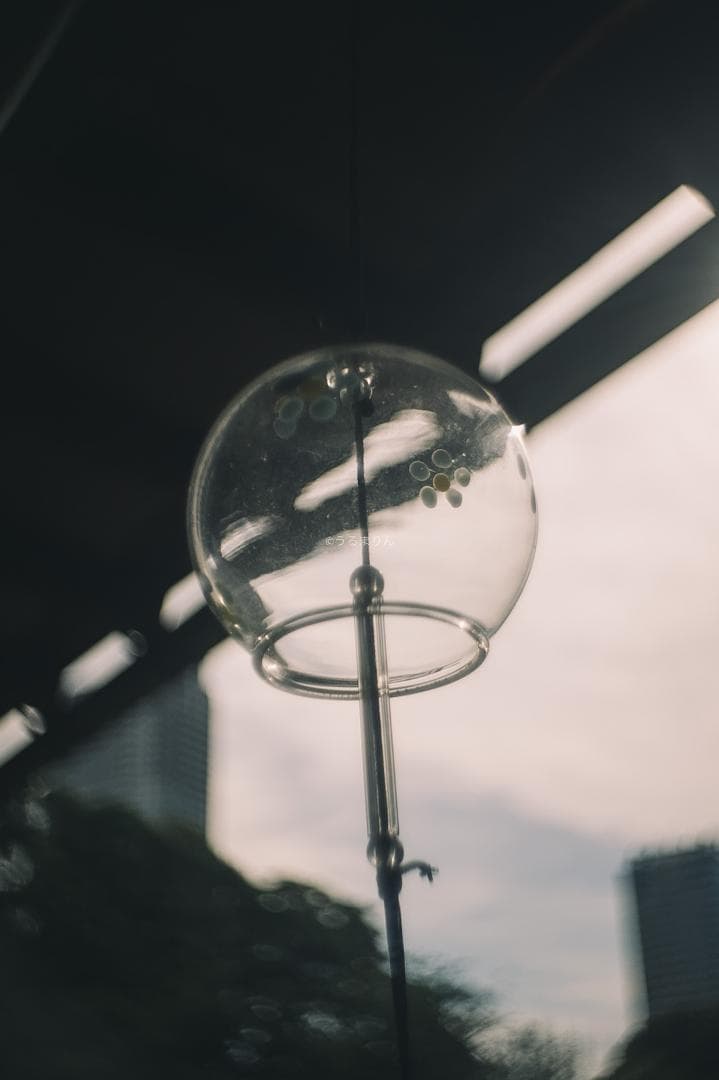 ズノーが1万円以下！Eマウント解禁！ZUNOW Cine 14mm F1.9