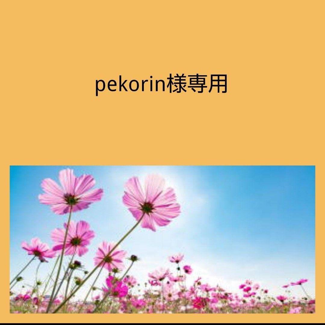 専用ページ 合計9点 K18チャーム