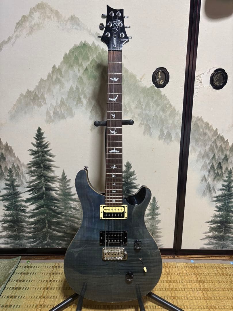 ギター PRS SE Custom24 Whale Blue