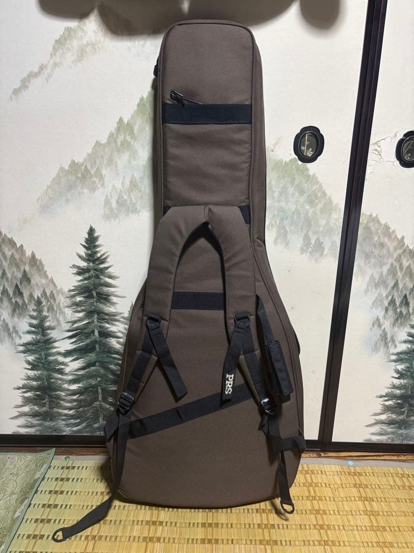 ギター PRS SE Custom24 Whale Blue