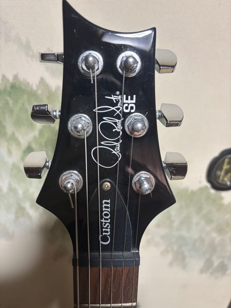 ギター PRS SE Custom24 Whale Blue