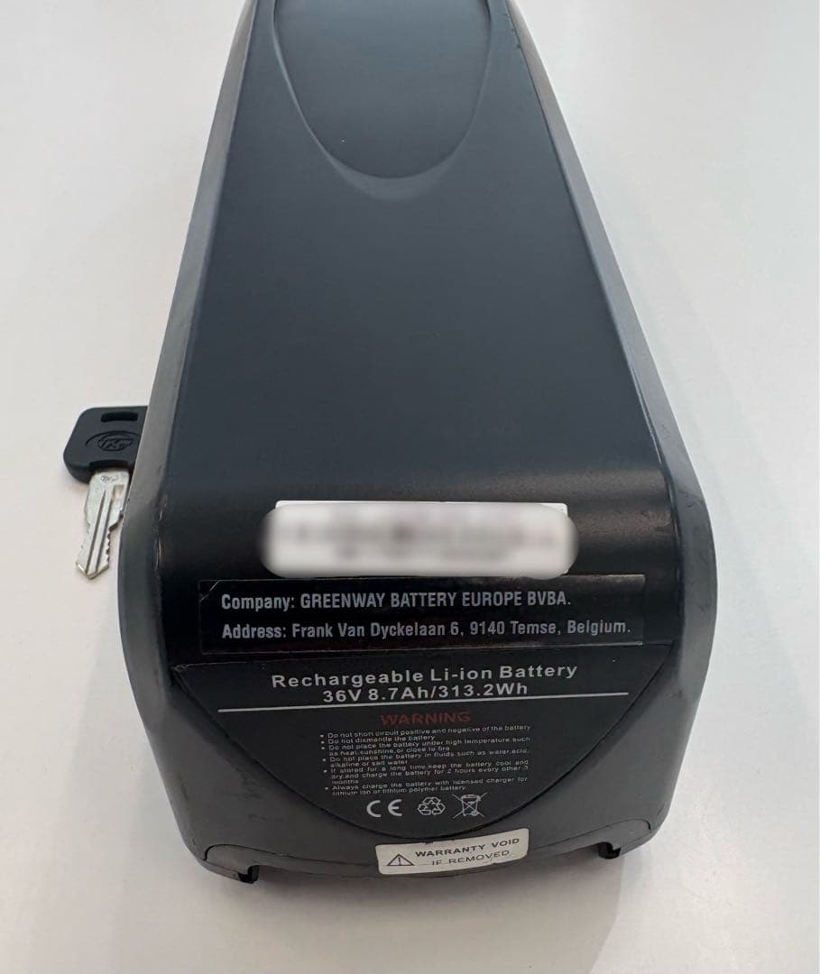 エディ　BRONX BUGGY ブロンクスバギー　e-bike