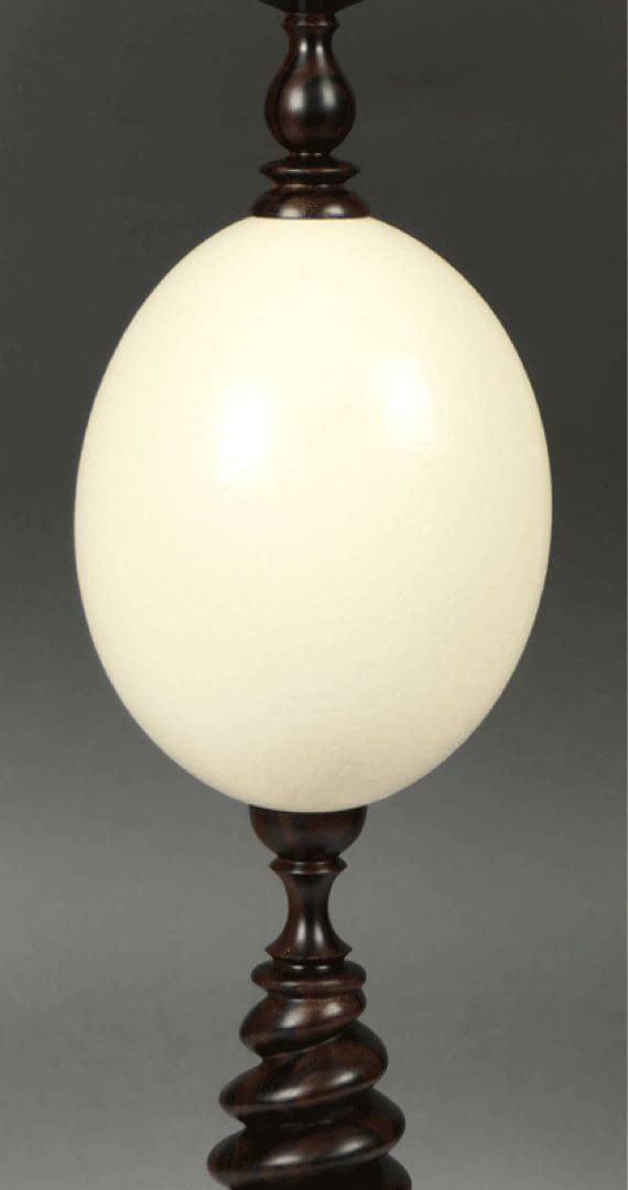 【オストリッチ・エッグ飾り】 黒檀製スタンド　理科系　ダークアカデミア