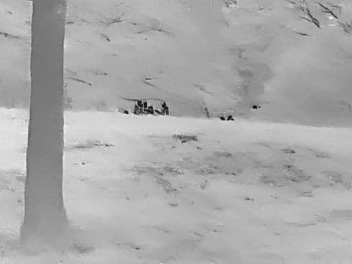 限界ボーナスセール中【AI搭載高性能サーマルサイト】GTMedia AI15