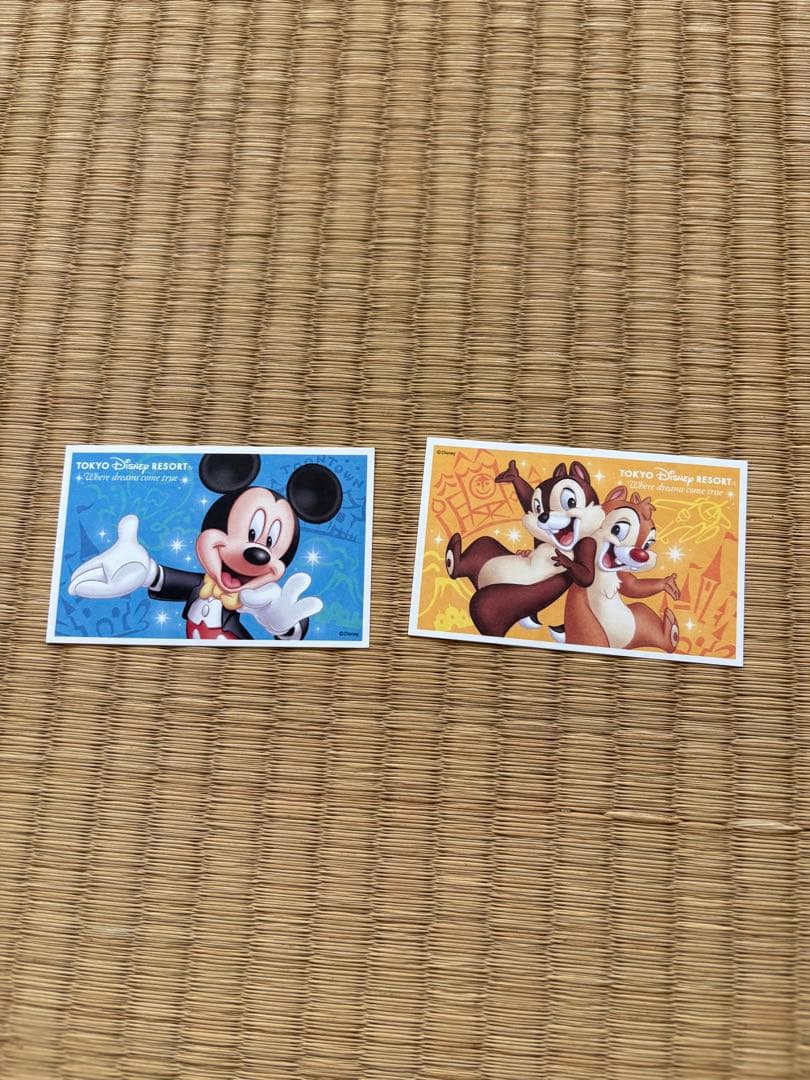 Duffy & ShellieMay ぬいぐるみ　ディズニーチケット付きザクラス