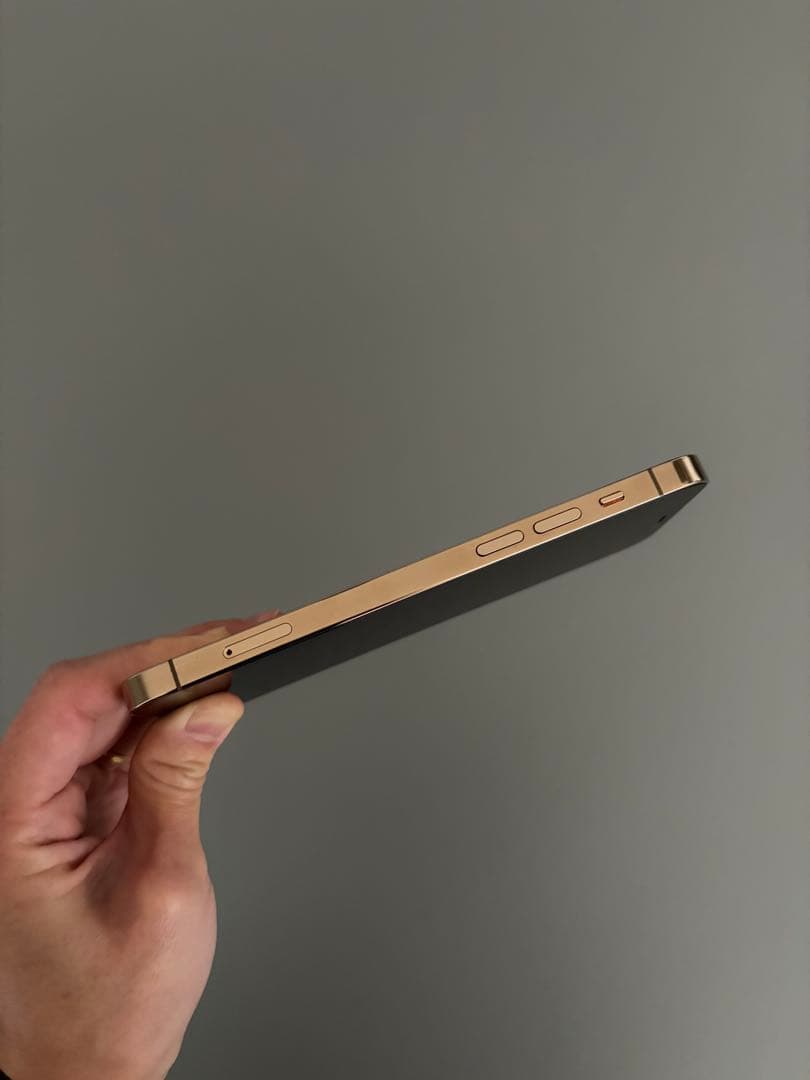 Apple iPhone 12 Pro ゴールド本体