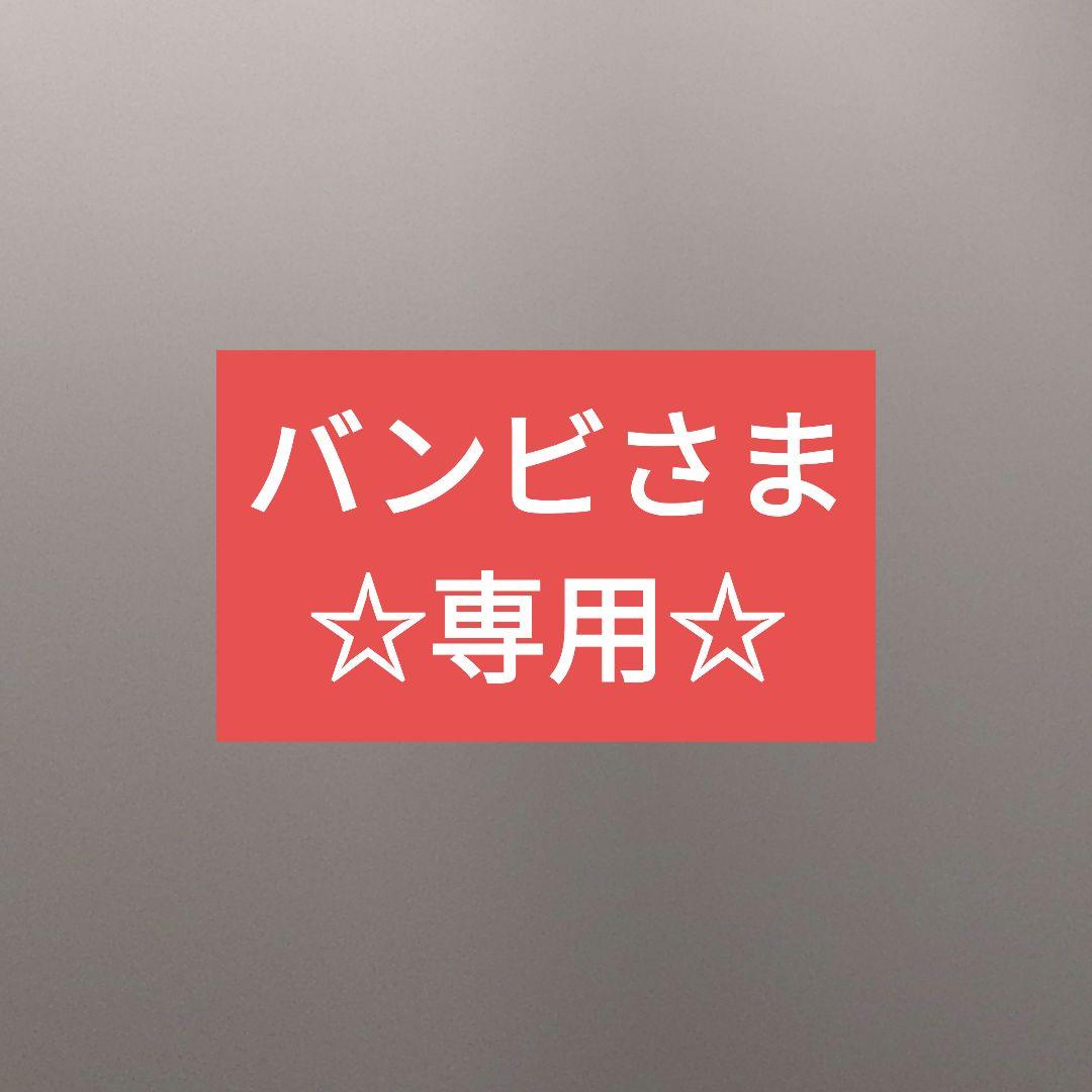 バンビさま専用☆ゾイック カシミヤタッチ３点セット