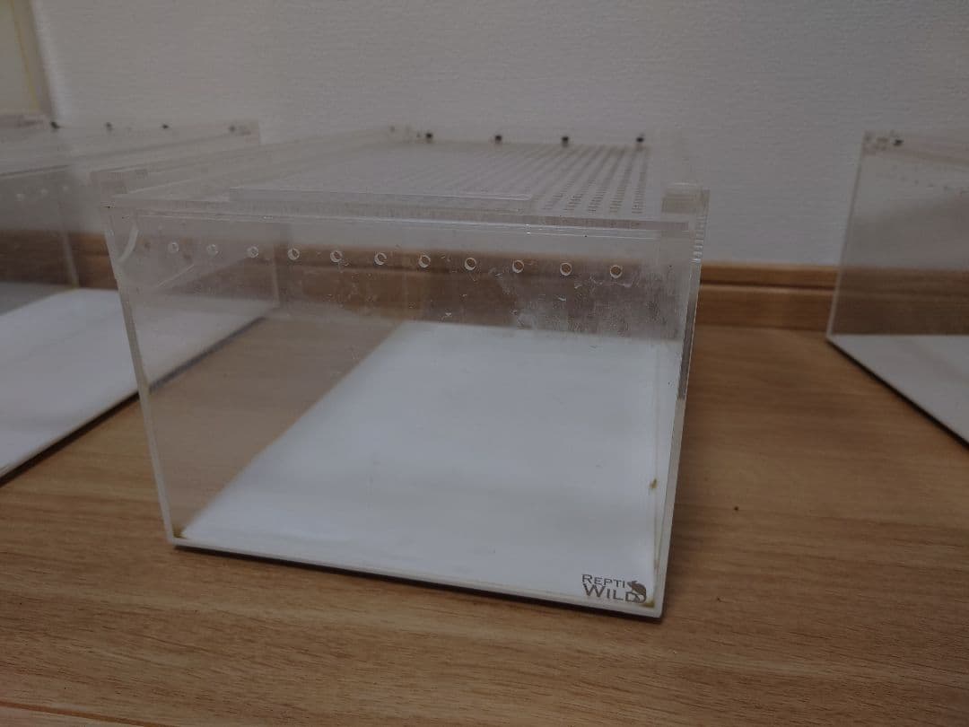 三晃商会 レプタイルボックス5個セット