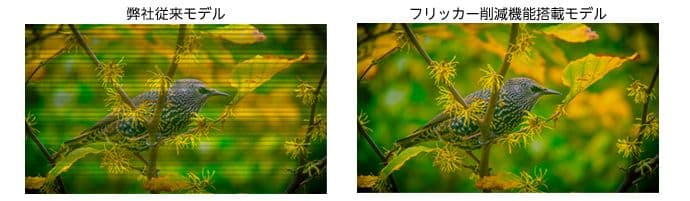 プリンストン 21.5インチ モニター ptfbld-22w 高視野角ワイド液晶