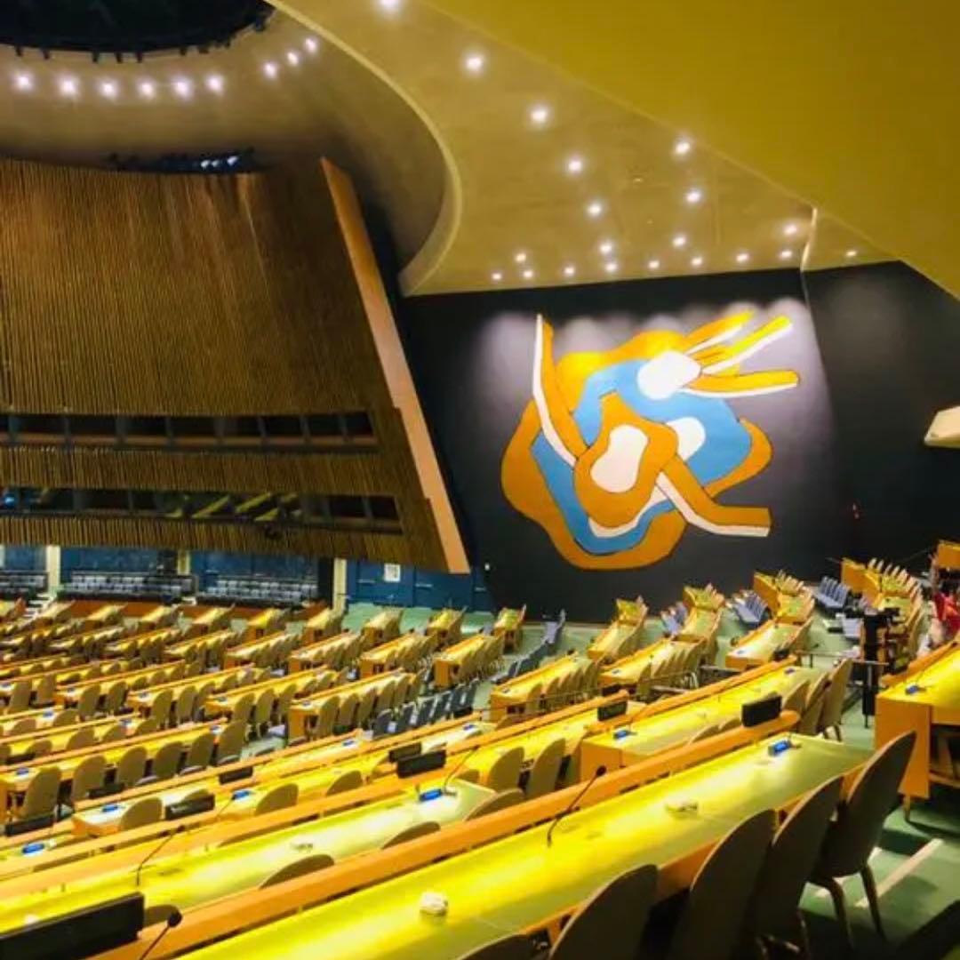 【特別提供品】SDGs  ピンバッジ　10点　新品未使用　【国連本部入手品】