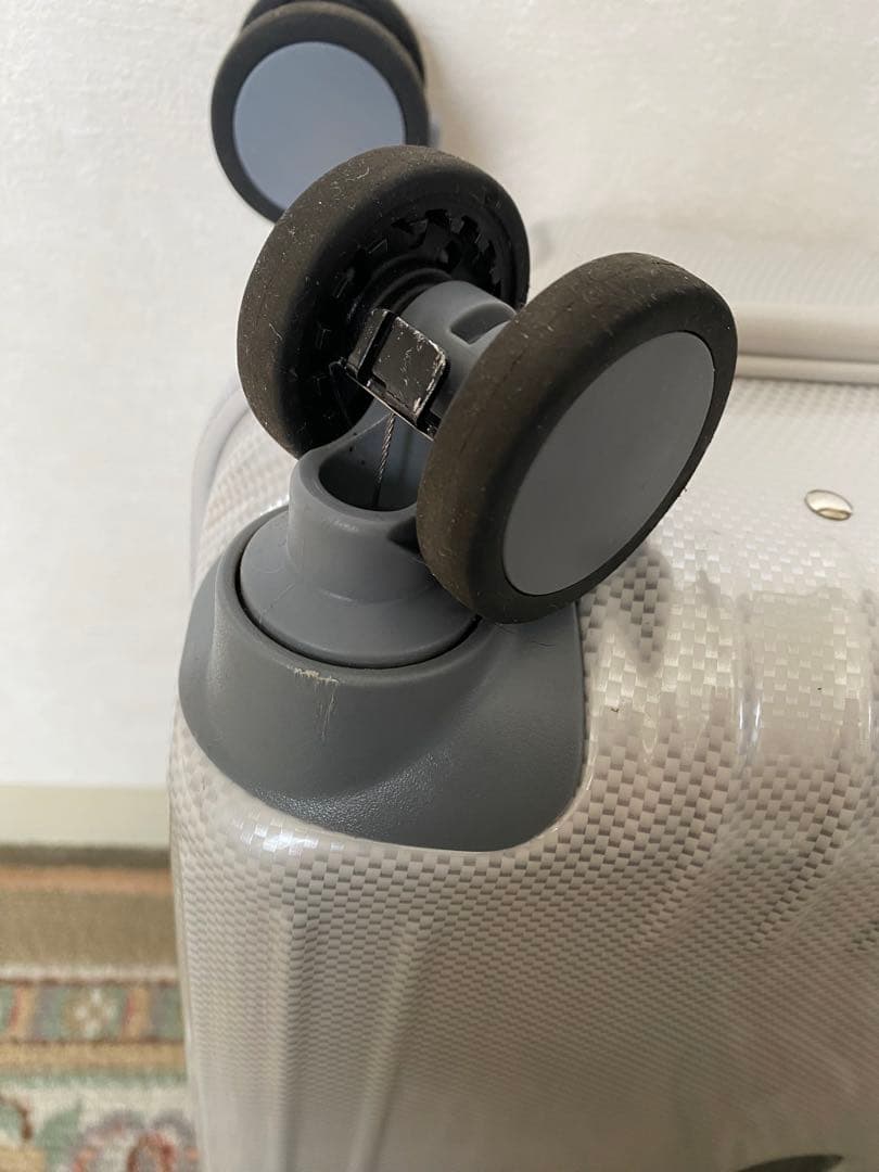 ace.パリセイド3-Z 0691006スーツケース キャスターストッパー21L