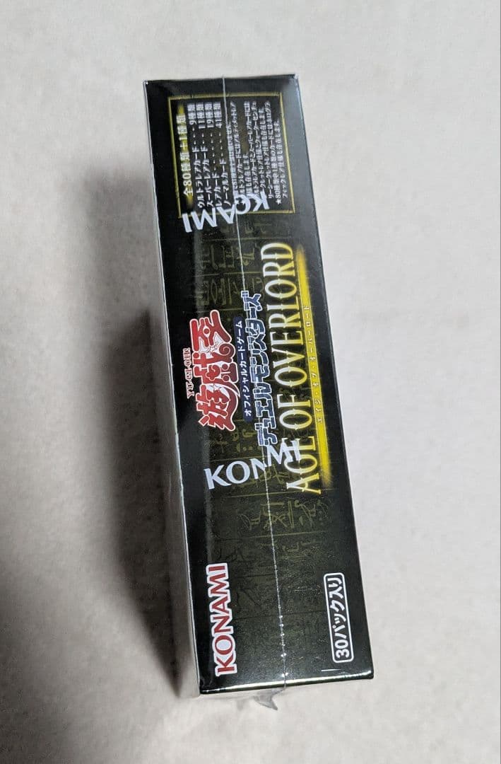 エイジオブオーバーロード　クォーターセンチュリークロニクル Side：UNITY