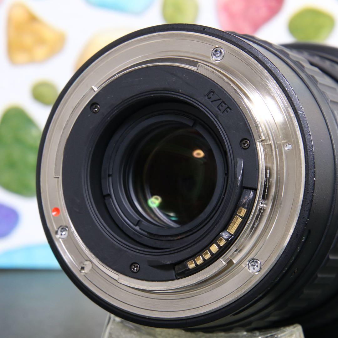 ♥︎◇美品 フード付♪ ◇TOKINA 11-16mm F2.8 Canon