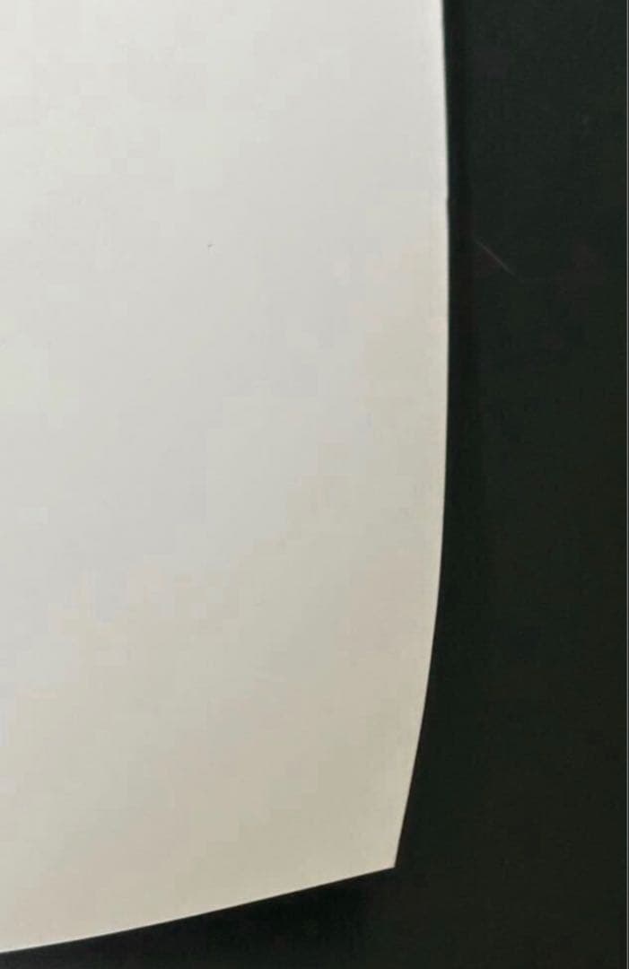 ダイアナ妃 Diana Princess of Wales イギリス王室