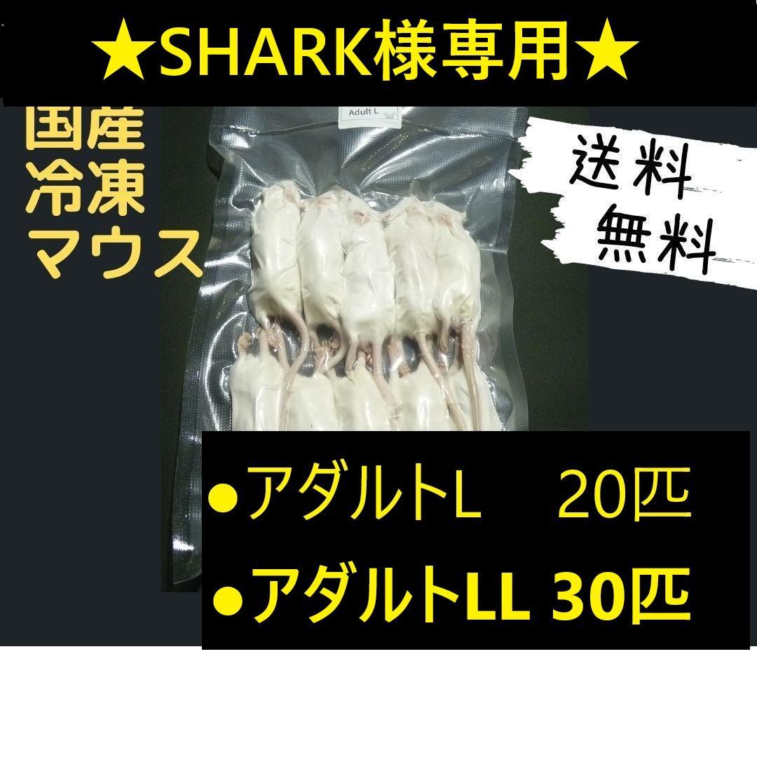 ★SHARK★国産冷凍マウスアダルトL20匹アダルトLL30匹