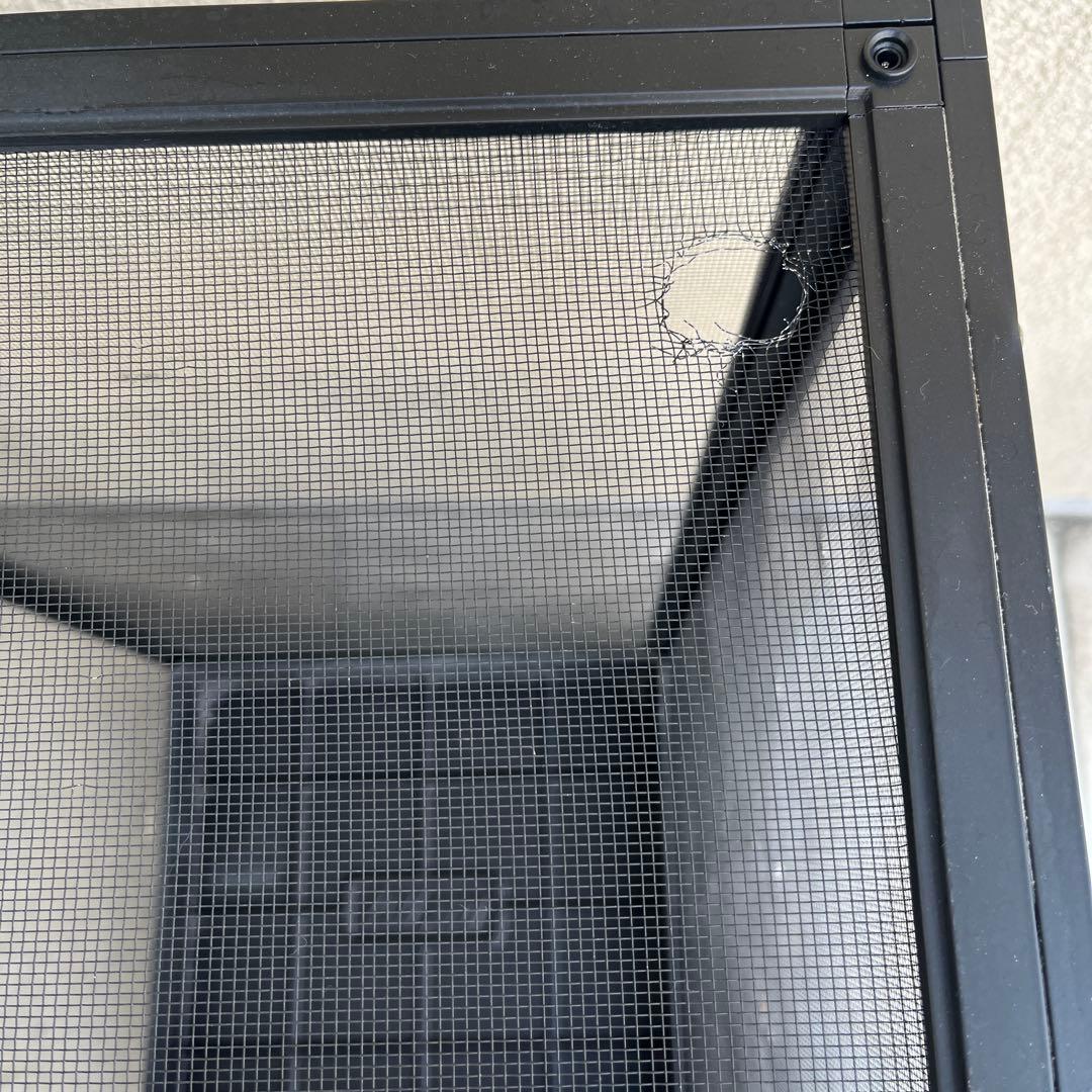 カメレオンゲージ　ZOOMED