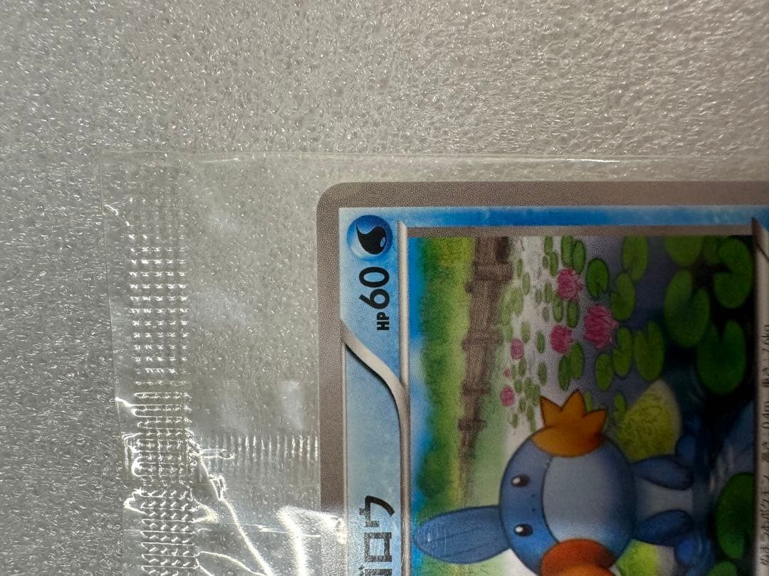 ミズゴロウ、コンビニ購入キャンペーン 未開封プロモ