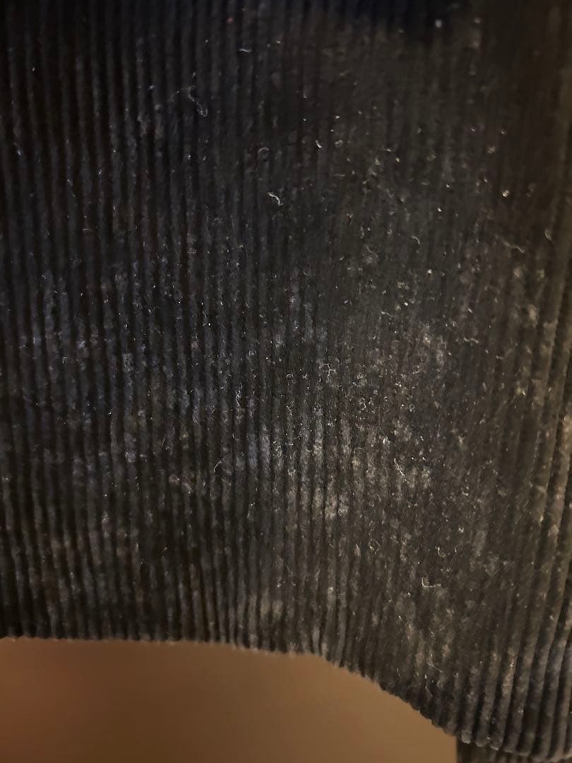 ANATOMICA アナトミカ　MONET モネ　コーデュロイブルゾン