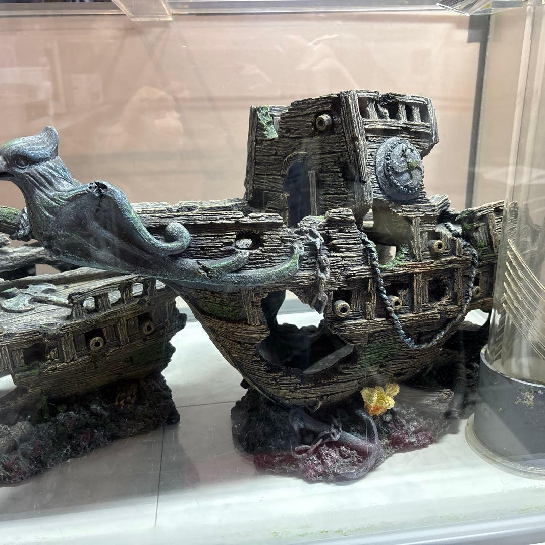 水槽用　沈没船オプジェ　レイアウト