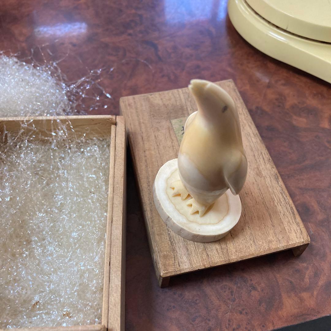 ペンギン　マッコウクジラ　歯　クジラの歯　抹香　鯨　(81g)専用箱付き