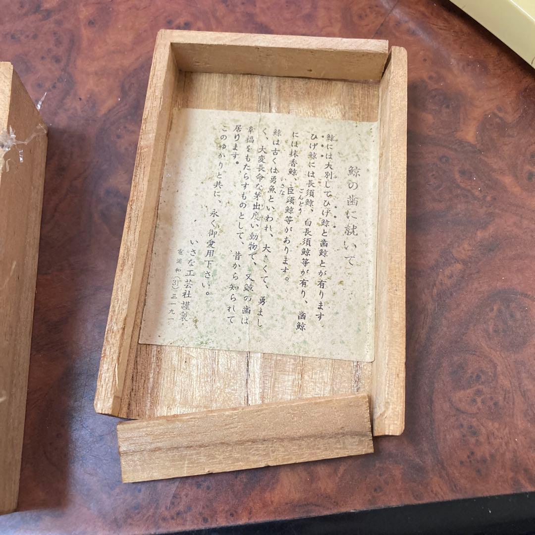 ペンギン　マッコウクジラ　歯　クジラの歯　抹香　鯨　(81g)専用箱付き