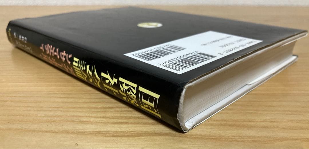 国際社会論 アナーキカル・ソサイエティ