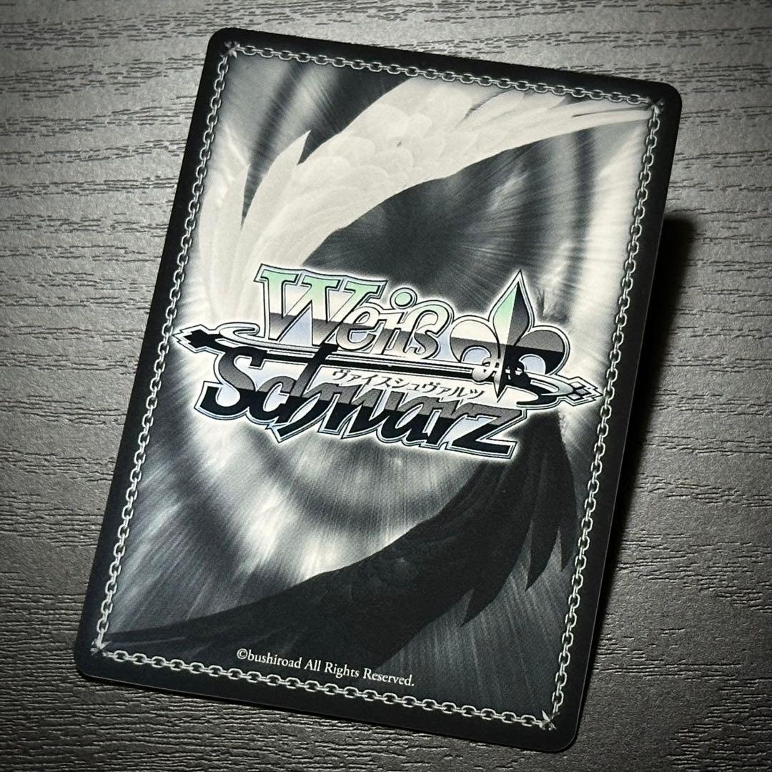 WS フリードリヒデアグローセ SEC サイン