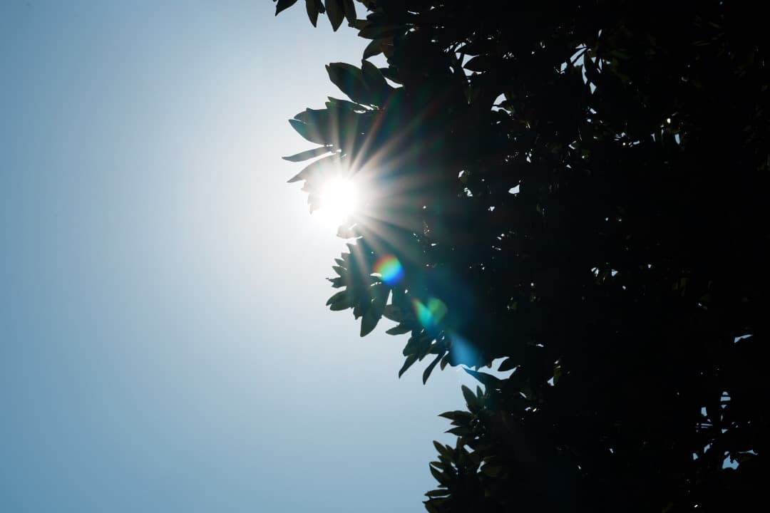 【唯一無二】SONY SEL100F28GM 単焦点　イルミの帝王