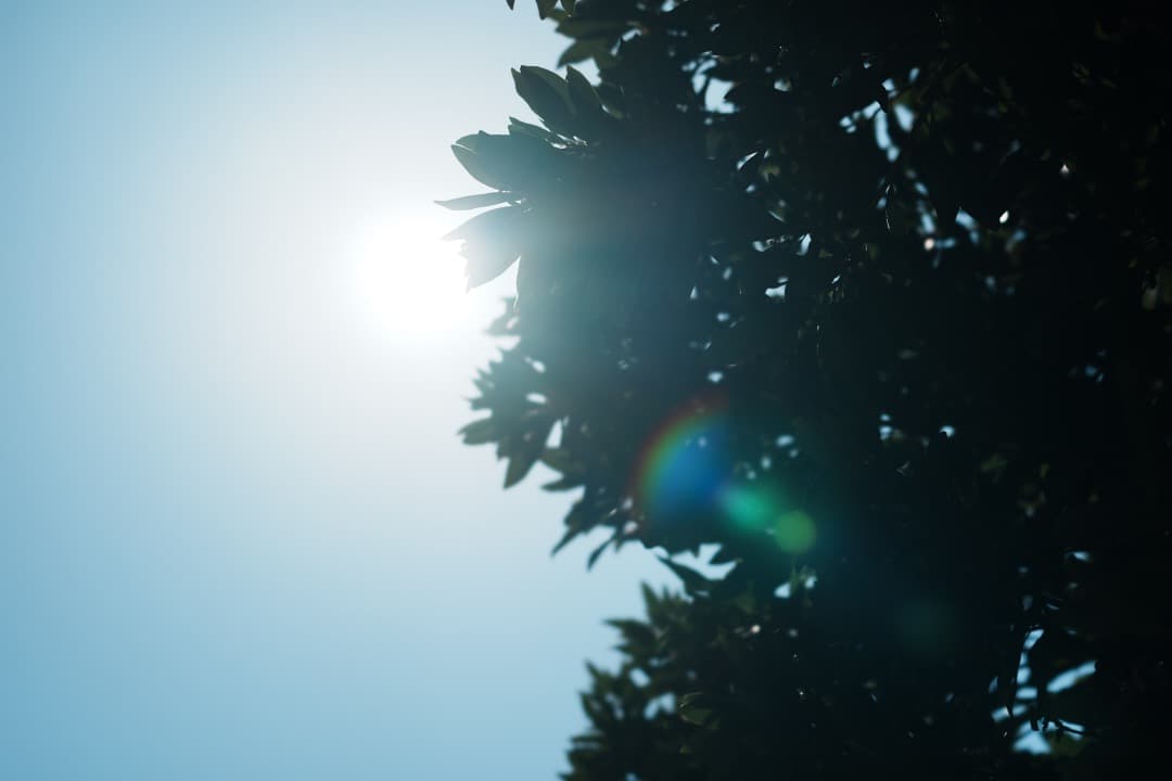 【唯一無二】SONY SEL100F28GM 単焦点　イルミの帝王