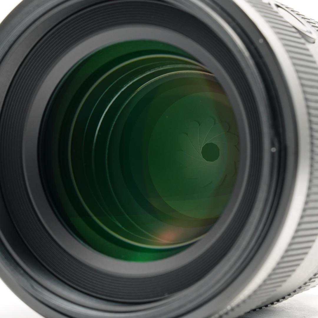 【唯一無二】SONY SEL100F28GM 単焦点　イルミの帝王