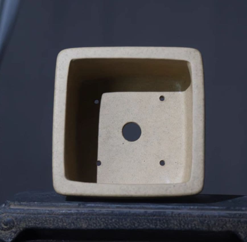 四方刻絵竹子紫砂鉢 大盆栽 小盆栽 多肉植物鉢