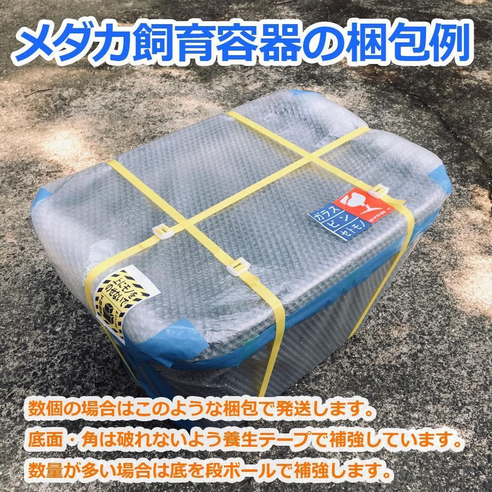 【新仕様】メダカ飼育ケース 60㍑トロ舟x3個 オーバーフロー加工済 金魚飼育容