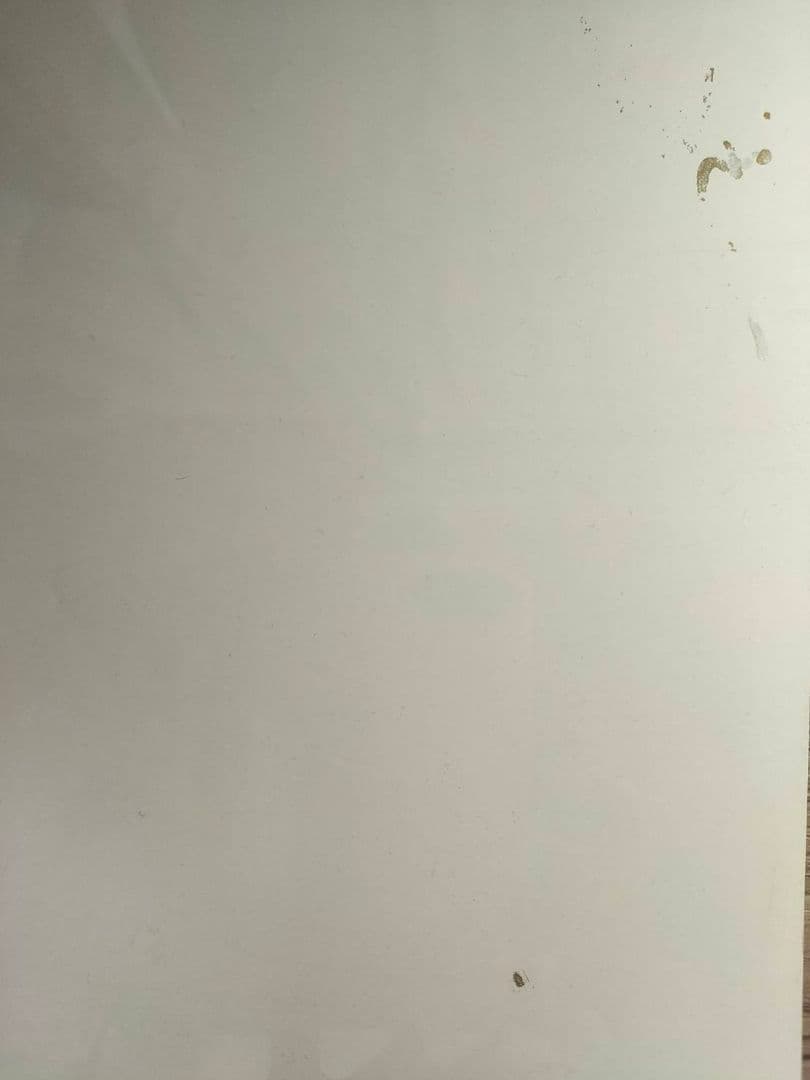 【大幅値下げ】Shooting Star Concert 直筆サインポスター