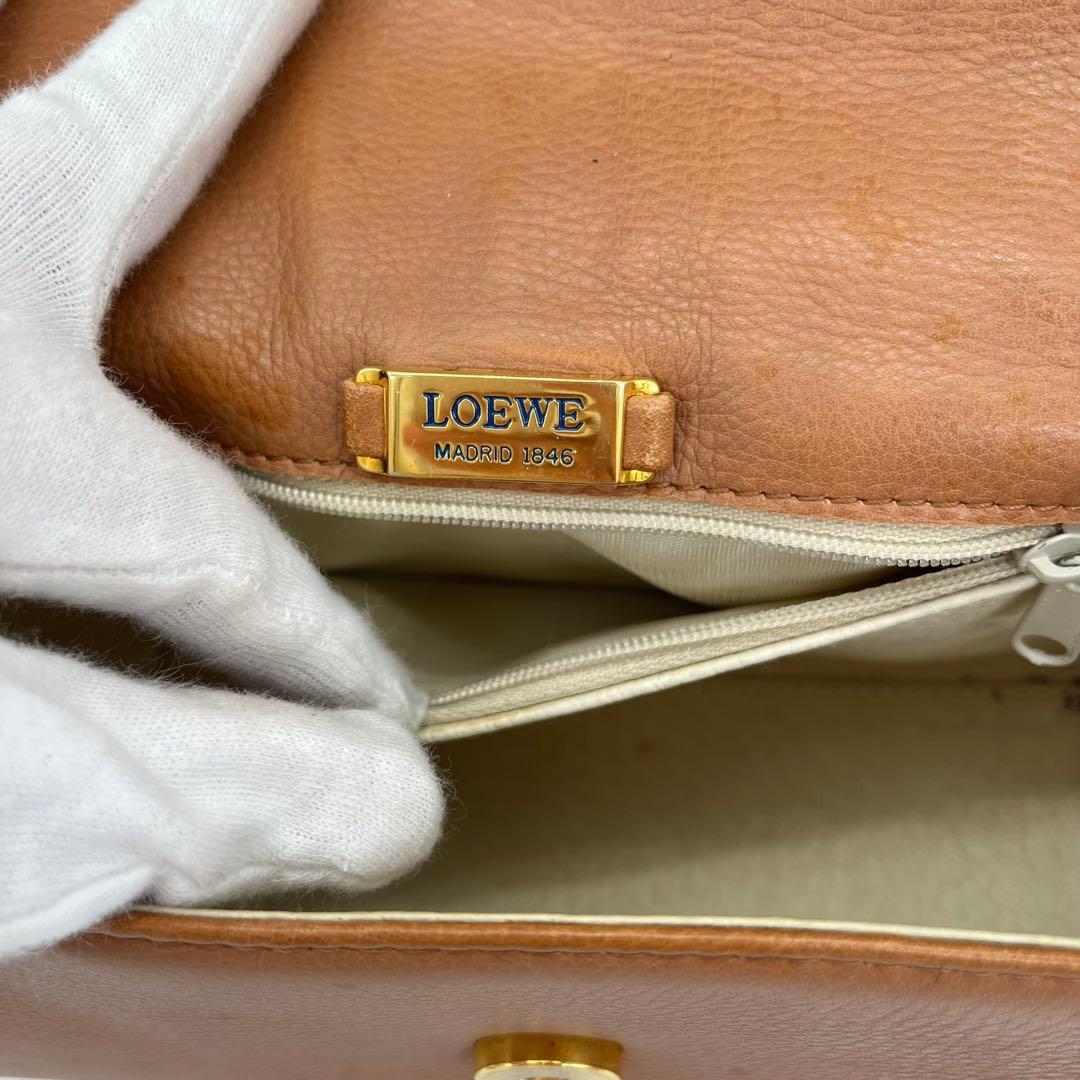 【希少品】LOEWE ショルダーバッグ 斜めがけ アナグラム シャイニングクロコ