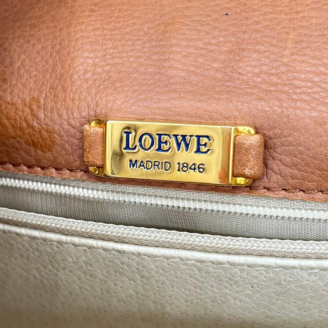【希少品】LOEWE ショルダーバッグ 斜めがけ アナグラム シャイニングクロコ