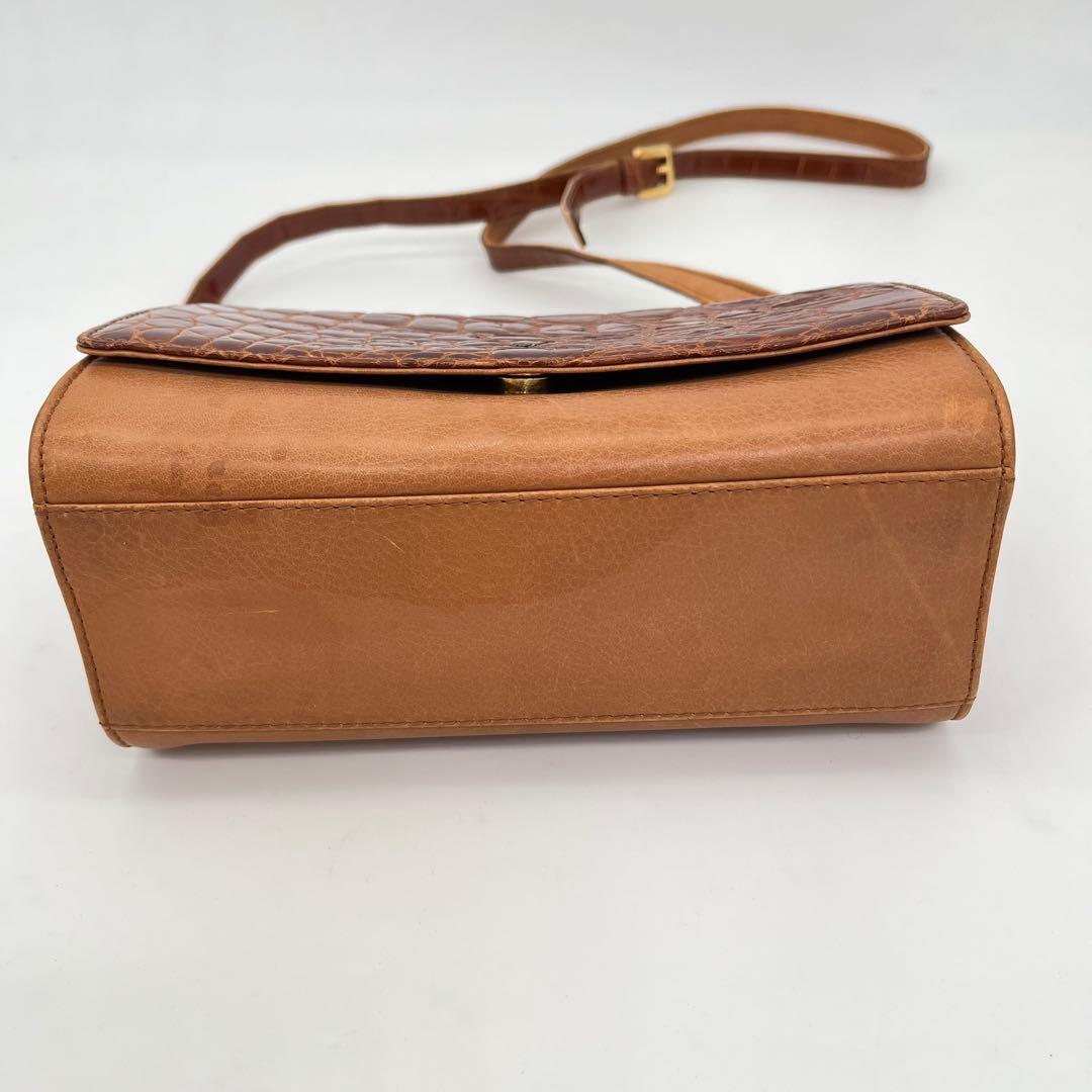 【希少品】LOEWE ショルダーバッグ 斜めがけ アナグラム シャイニングクロコ