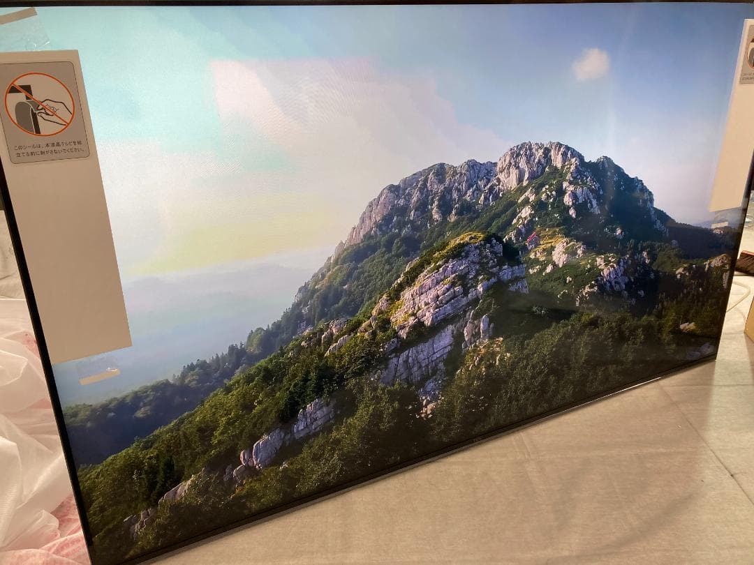 TCL 50V型 4K液晶 倍速 テレビ 量子ドットMiniLED 50QM8B