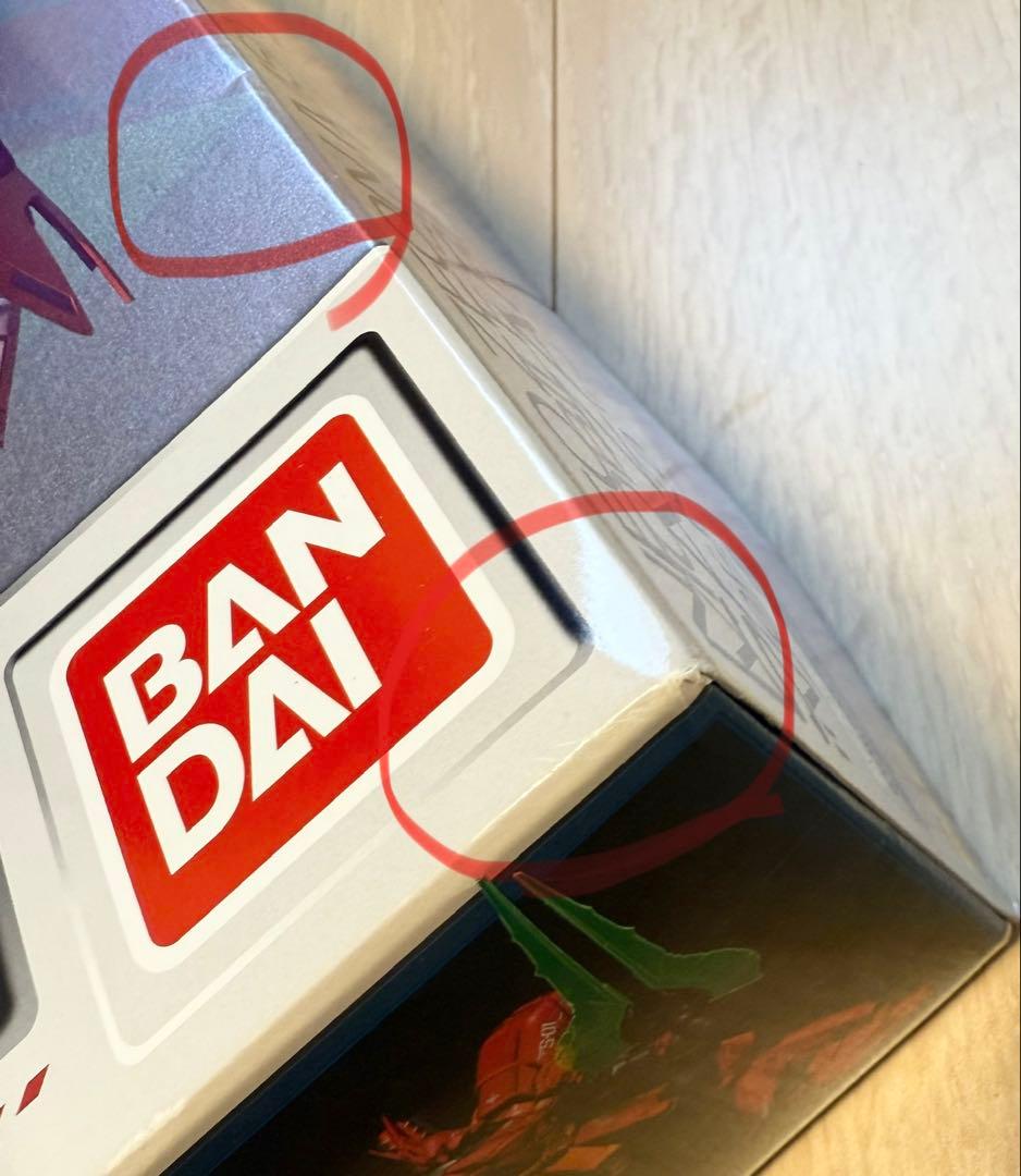 MG 1/100 サザビー Ver.KaスペシャルコーティングVer