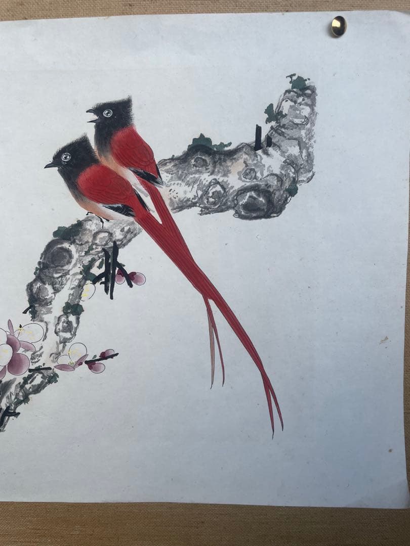 張其冀　長尾鳥　梅　木版画