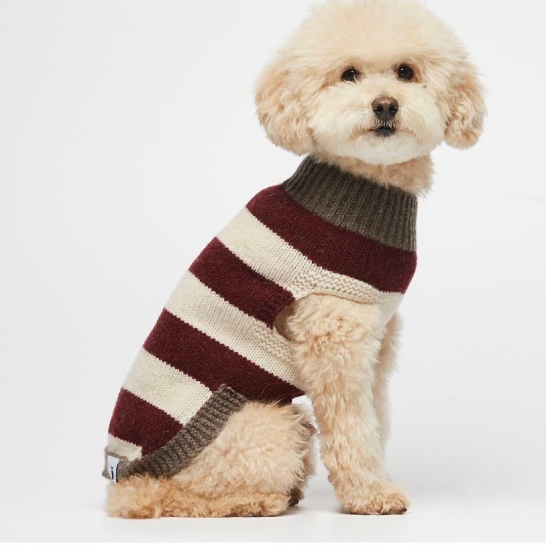 PEGION THE PAINTER'S WIFE（ザ ペインターズ ワイフ