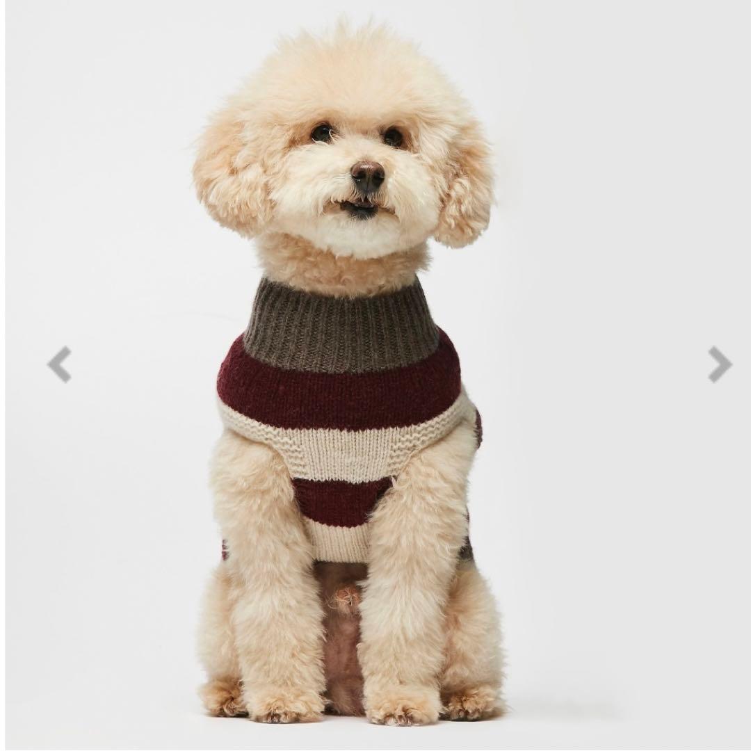 PEGION THE PAINTER'S WIFE（ザ ペインターズ ワイフ