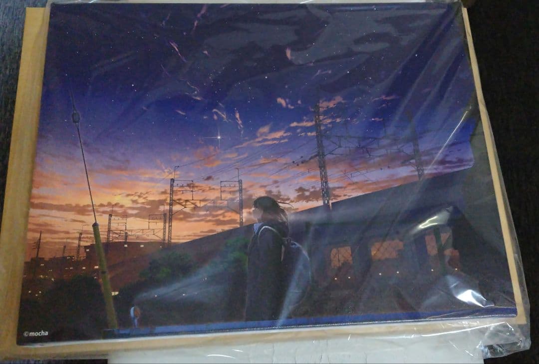 mocha　F6キャンバスアート　マジックアワー