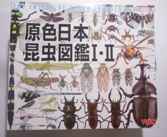 原色日本昆虫図鑑Ⅰ・Ⅱ 箱 フィギュア 6点付 YUJIN