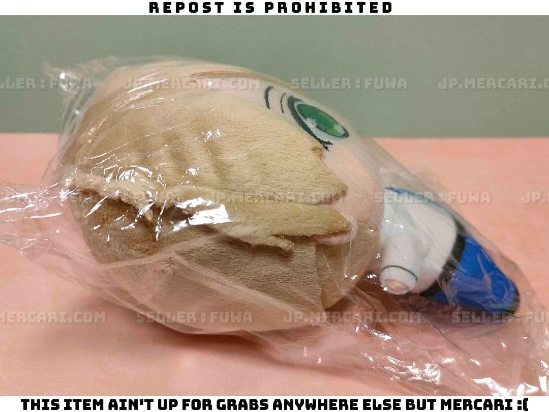 【未開封】須坂紫那 溺愛なんてみとめません！ S賞 藤堂 直斗 ぬいぐるみ BL