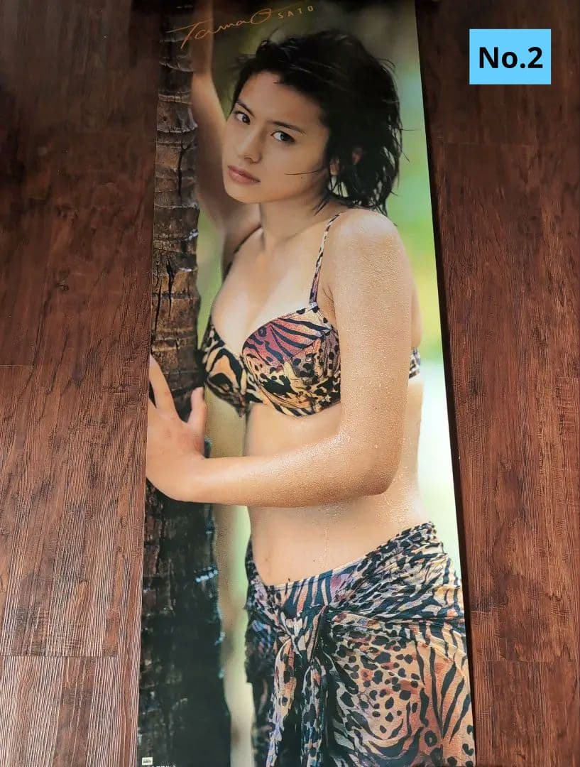 ・さとう玉緒 ポスター11枚セット ◆ 非売品 ◆