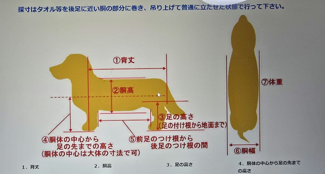 犬用歩行器（犬用車椅子）わんワーク 中型犬