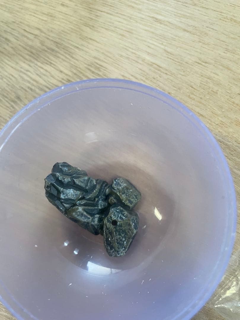 原色淡水魚図鑑I 限定版　ヤマメ×アメマス