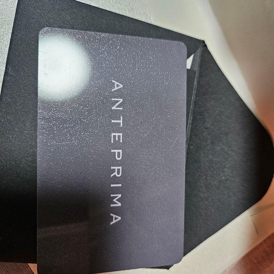 ANTEPRIMA アンテプリマ　ワイヤーバッグ ルッケット　最終値下げ