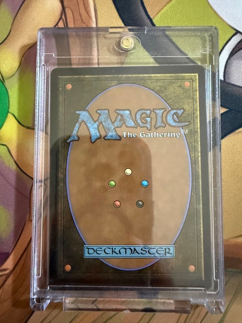 MTG 霧深い雨林/ Misty Rainforest　ドラゴンスケイルFoil